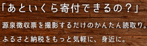 ふるさと納税 限度額