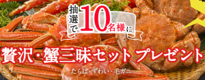 ふるさと納税 かに